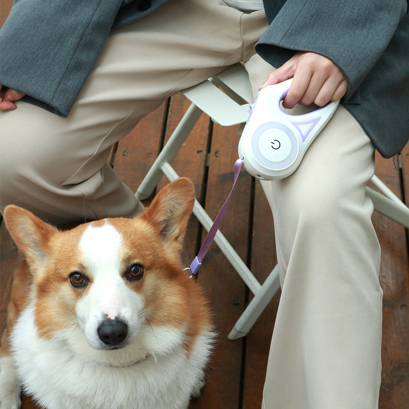 Safe Night Walks: Retractable Dog Leash with Collar & Light